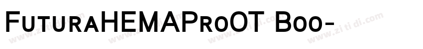 FuturaHEMAProOT Boo字体转换